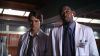 Filename=vlcsnap-147737.png
Filesize=1135KB
Dimensions=1024x576
Date added=Aug 17, 2008 vlcsnap-147737.png