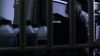 vlcsnap-213515.png