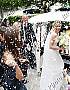 Filename=021.jpg
Filesize=55KB
Dimensions=550x367
Date added=May 16, 2009 021.jpg